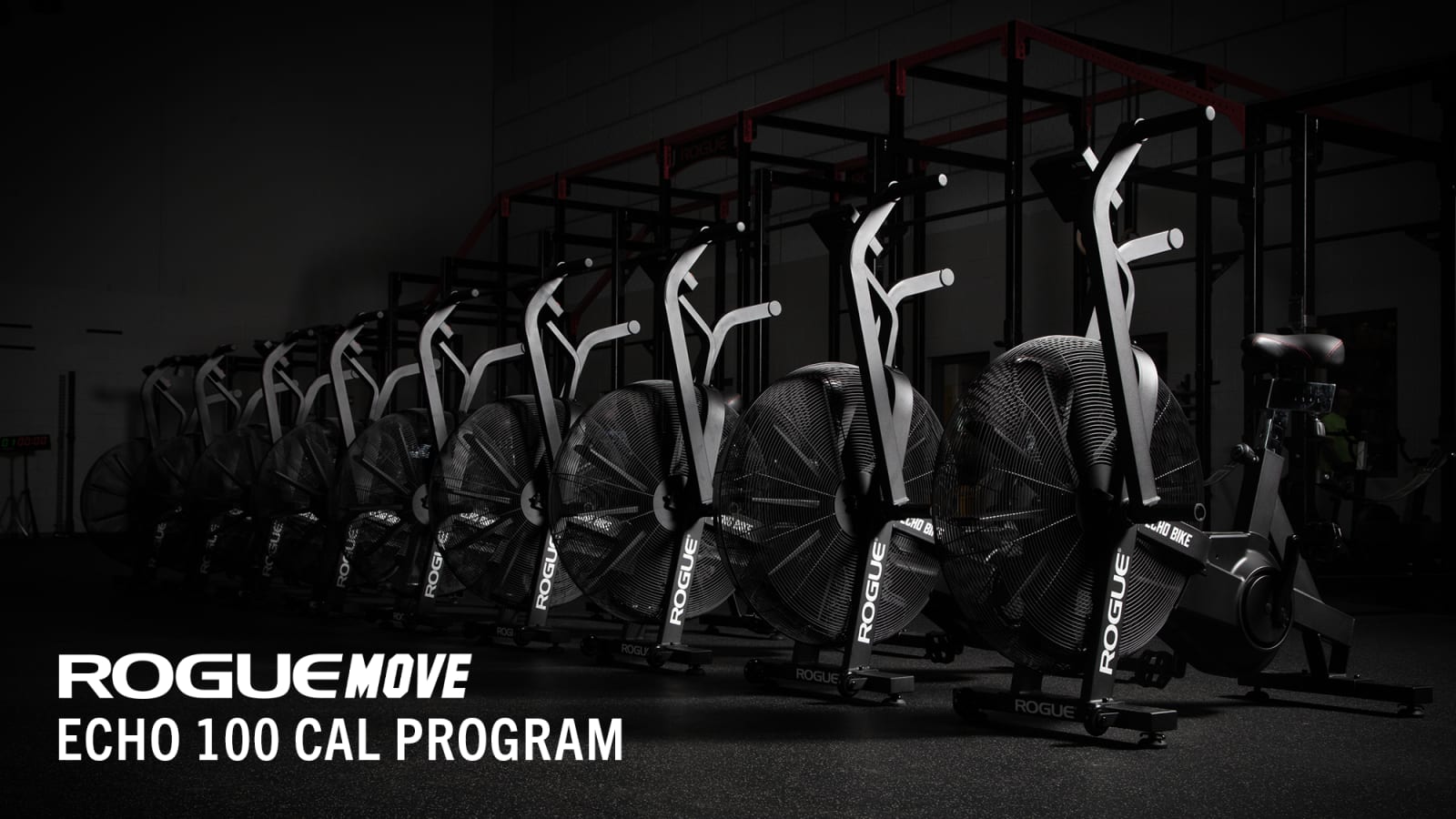 Rogue echo workout hot sale